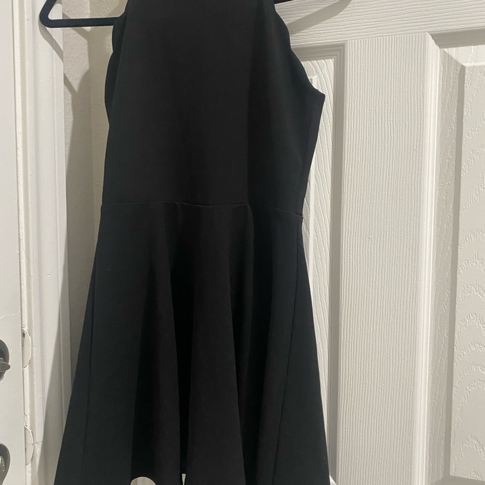 Sally Miller Black Sleeveless Fit & Flare Mini Dress